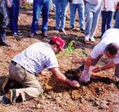 Plantio de &aacute;rvore doada pela AIPA, no Arrast&atilde;o