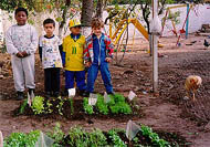 Horta na EEI Alem do Arco Iris