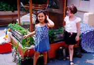 Feira de Ciencias - EEI Castelinho