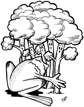 codigo florestal amea�ado