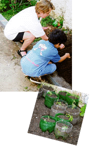 EEI Castelinho: a horta no solo e nos vasos de garrafa Pet