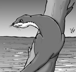 lontra, no desenho de Dian Storch