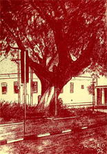 Detalhe - pra&ccedil;a Padre Anchieta, por Carlos G&iacute;rio