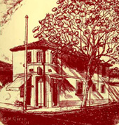 um dos ipes - ilustra��o Carlos G&iacute;rio