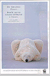 Exemplo de apelo ecol&oacute;gico em anuncio (fonte: META)