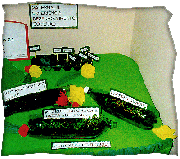 EEI Castelinho - horta na Feira de Ciencias