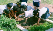 Itu - crian�as aprendem a lidar com uma horta organica