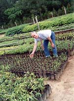 Embaixador Broguslaw Zakrewski no viveiro da AIPA