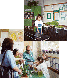 Muitas atividades no Col&eacute;gio Terras