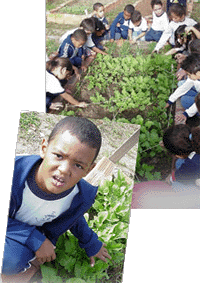 Lucas: ajudando tamb&eacute;m no fim de semana