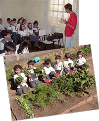 Monteiro Lobato: trabalho complementado com a&ccedil;&otilde;es em sala de aula