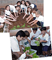 Prudente: boa colheita e boas dicas de educa&ccedil;&atilde;o ambiental