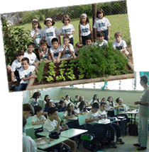 Col&eacute;gio das Terras: cada classe, uma atividade