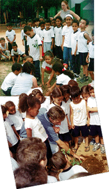 Acima: EMEI M. das Dores, Abaixo: EMEI J.Motta Navaro