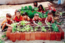 Foto: EEI Pinguinho de GEnte