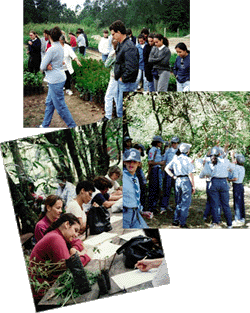 detalhes da trilha ecol�gica da AIPA