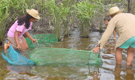 Piabeiros - Foto: NIng L. Chao / Proj. Piaba