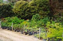 Foto: Embrapa Monistoramento por Sat&eacute;lite