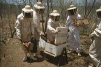 Foto: Arquivo Fumdham