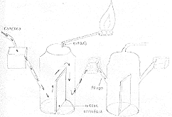 modelo chines de biodigestor