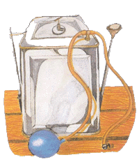 prot&oacute;tipo do biodigestor