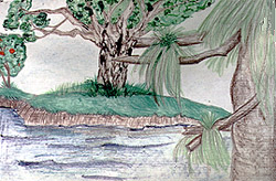 Trabalho premiado no Concurso da Primavera 2000