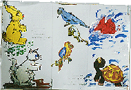 Equipe A - Categoria APAE