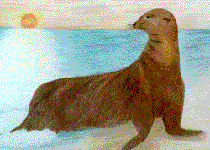 Arte - Luciana Calazan - 14 anos - Categoria 7.a S�rie