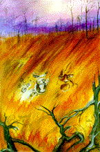 Luciana Spinardi - 14 anos - Categoria 8&ordm; s�rie