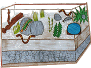 trabalho premiado no Concurso da Primavera 1999