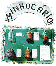 Trabalho premiado no Concurso da Primavera 1999