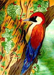 Michel Gilliard Barbosa - Categoria SENAI