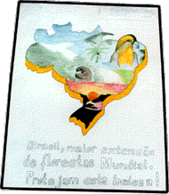 Marcelo Fornari - Categoria Senai