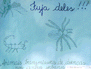 M. das Gra�as O. Pereira e Antonia M. B. Dias - Categoria Supletivo