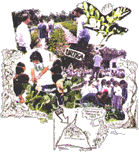 Educa&ccedil;&atilde;o ambiental, viveiro, comunica&ccedil;&atilde;o - tr&ecirc;s linhas de a&ccedil;&atilde;o da AIPA